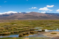Hauts plateaux andins. La végatation ne pousse plus au delà de 4000 m